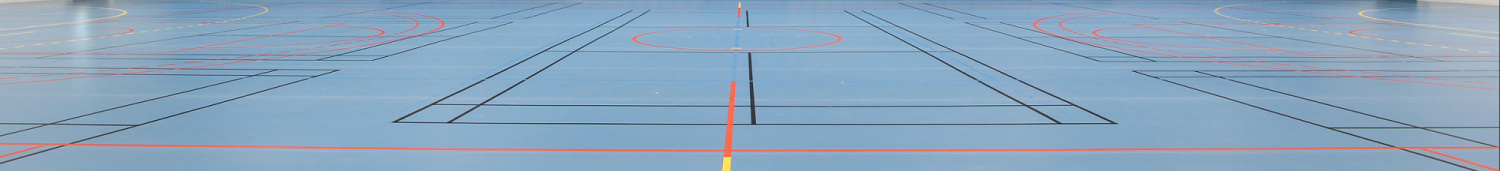LESCURE BADMINTON CLUB
